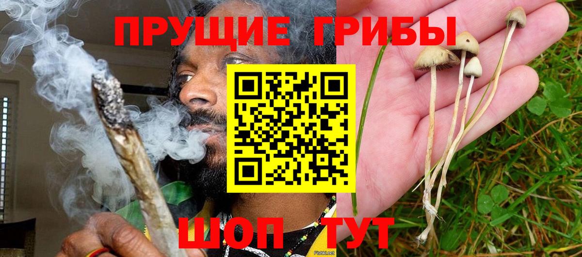 Галлюциногенные грибы мухоморы Коркино