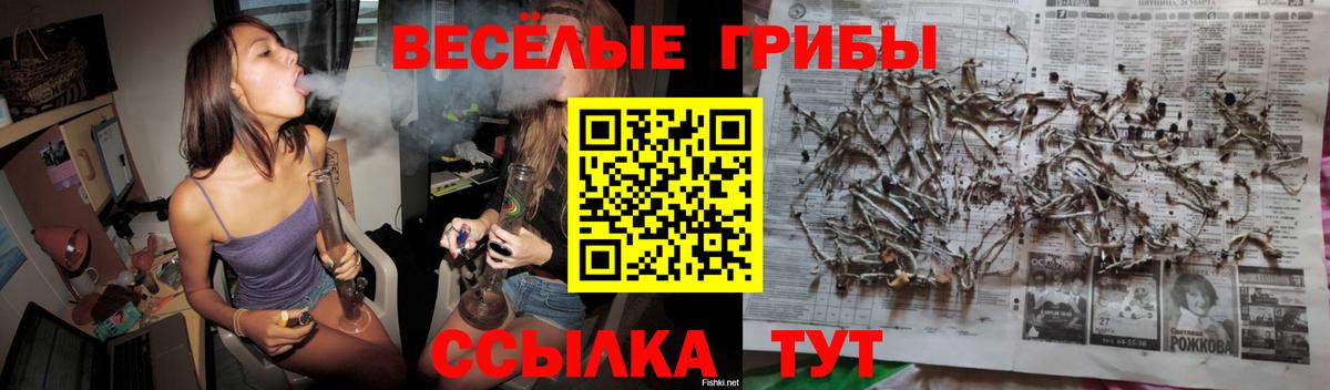 Коркино  цена наркотик  Вход с VPN  Галлюциногенные грибы мухоморы 